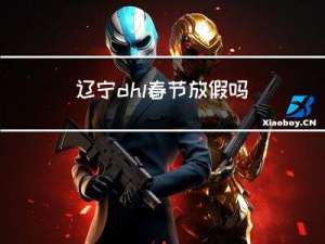 辽宁dhl春节放假吗