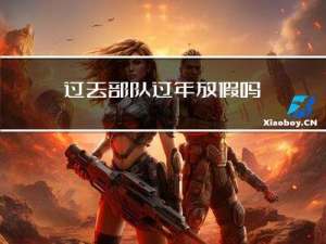 过去部队过年放假吗