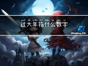 过大年指什么数字
