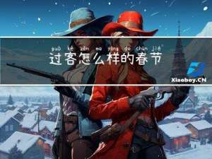 过客怎么样的春节
