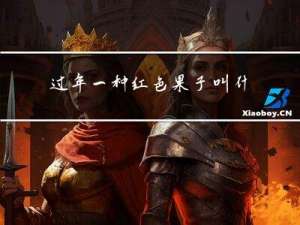 过年一种红色果子叫什么