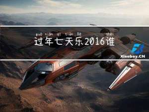 过年七天乐2016谁主持