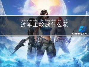 过年上坟放什么花