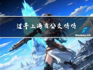 过年上海有公交吗吗