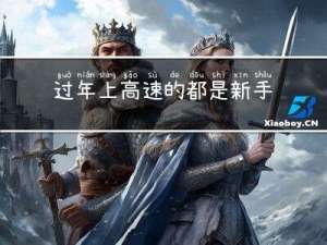 过年上高速的都是新手