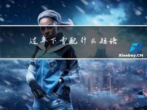 过年下雪配什么短语