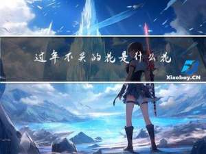 过年不买的花是什么花