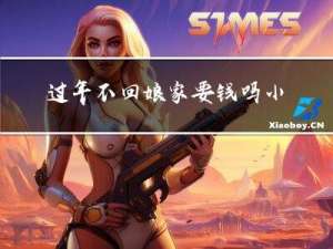 过年不回娘家要钱吗小说