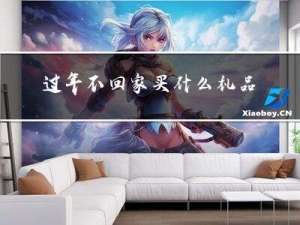 过年不回家买什么礼品好