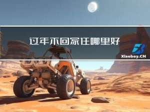 过年不回家住哪里好