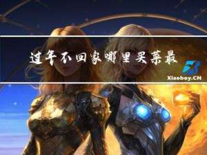 过年不回家哪里买菜最好