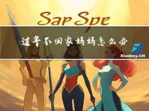 过年不回家妈妈怎么办作文