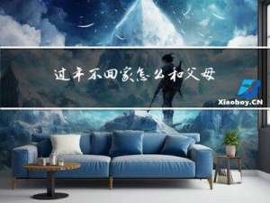 过年不回家怎么和父母解释