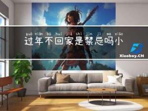 过年不回家是禁忌吗小说