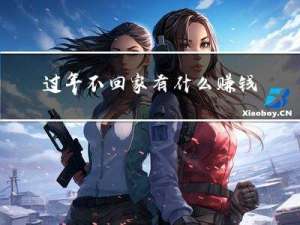 过年不回家有什么赚钱项目