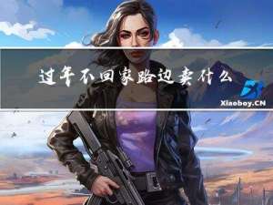 过年不回家路边卖什么赚钱