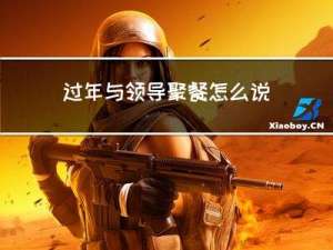 过年与领导聚餐怎么说