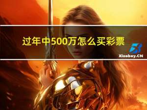 过年中500万怎么买彩票