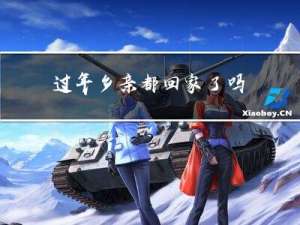 过年乡亲都回家了吗