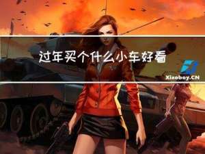 过年买个什么小车好看