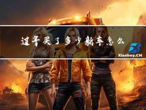 过年买了多少新车怎么查