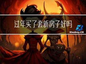过年买了套新房子好吗