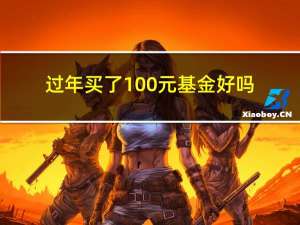 过年买了100元基金好吗