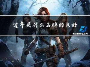 过年买什么品牌的包好看