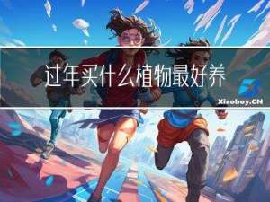 过年买什么植物最好养活