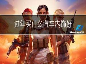 过年买什么汽车内饰好看