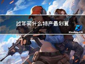 过年买什么特产最划算呢