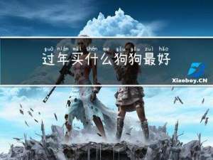 过年买什么狗狗最好