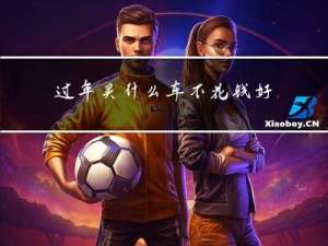 过年买什么车不花钱好