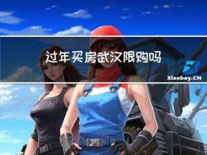 过年买房武汉限购吗
