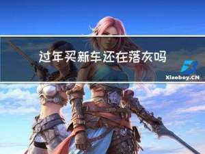 过年买新车还在落灰吗