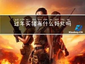 过年买猪有什么好处吗