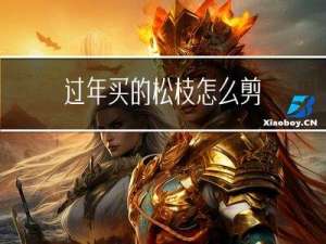 过年买的松枝怎么剪