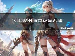 过年买的海棠花怎么种