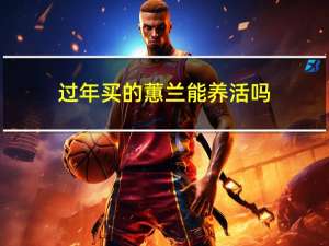 过年买的蕙兰能养活吗