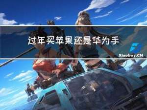 过年买苹果还是华为手机