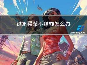 过年买菜不给钱怎么办