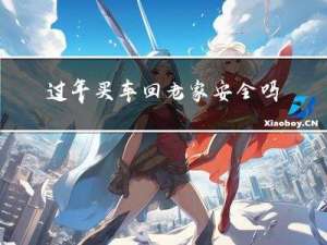 过年买车回老家安全吗