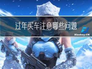 过年买车注意哪些问题女