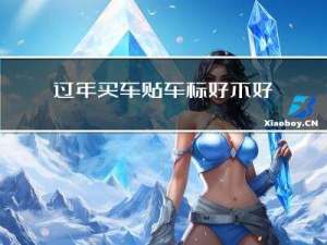 过年买车贴车标好不好