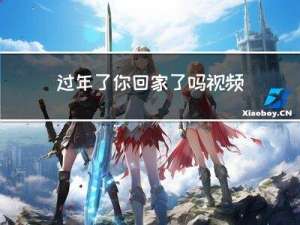 过年了你回家了吗视频教学