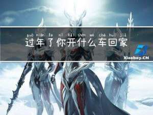 过年了你开什么车回家作文