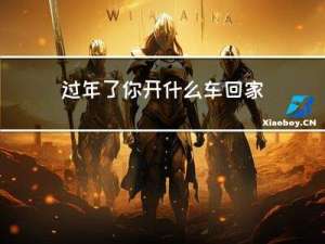 过年了你开什么车回家日记