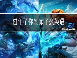 过年了你想家了么英语