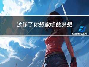 过年了你想家吗的感想