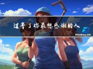 过年了你最想感谢的人作文